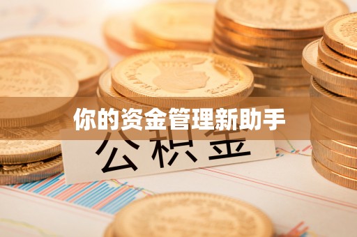 来义你的资金管理新助手