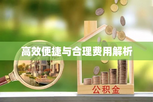 来义高效便捷与合理费用解析