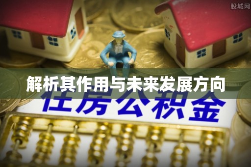 来义解析其作用与未来发展方向